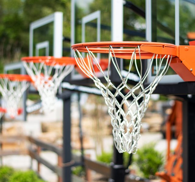 Basketball hoops as part of backyard toys range