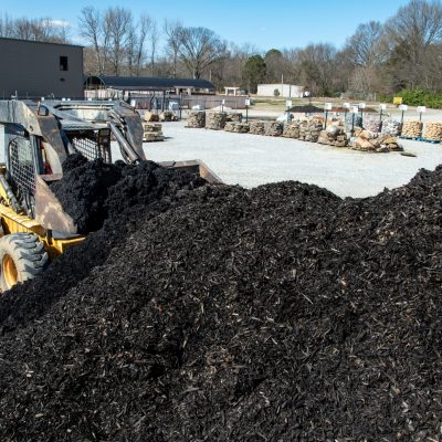 Close-up of mulch